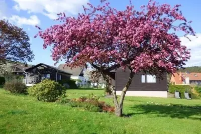 Image de Vacation home for 4 guests with 60m² in Holenberg (272335)