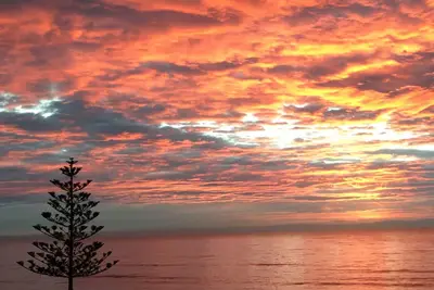 Image de ' 79'\nMIN Stay 1 Month Napier Westshore \nBEACHFRONT Apartment.