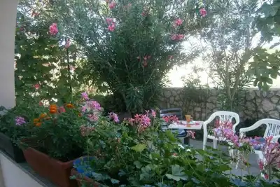 Image de Appartement d'une chambre avec la terrasse Privlaka, Zadar (A-24002-b)