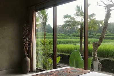 Image de Serenity in Bali Beauty Nature Kdv3