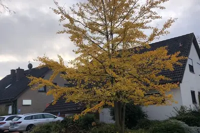 Image de Beautiful, quiet vacation apartment for up to five people