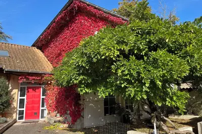 Image de Hébergement de charme avec spa 🏡 🧘♂️🌿\nEt borne de recharge électrique 🚗