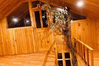 Image de Jibhi Bliss Treehouse Cottage