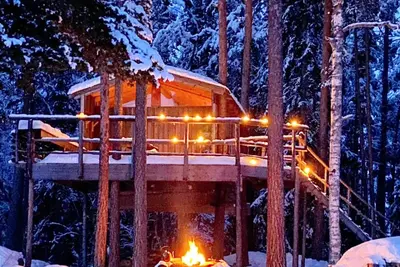 Image de Chalet perché dans les arbres sur une île privée avec une vue exceptionnelle