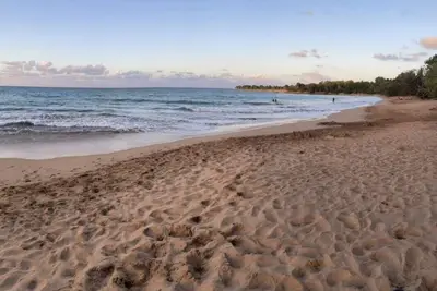 Image de Maison en Rez de jardin lumineuse