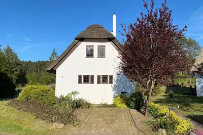 Image de Fantastic thatched house on the edge of the forest