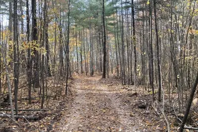 Image de Peterson Lake Campsite on Bcfl