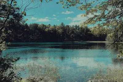 Image de Banach Lake Campsite on Burnett County Forest