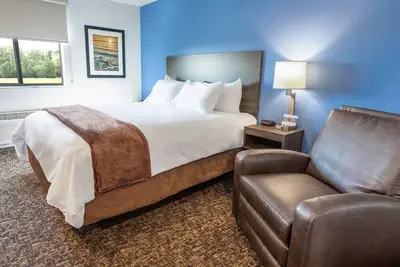 Image de Bright & Inviting Space! Experience The Best of Avondale- Pool Access