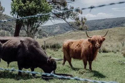 Image de Meadow View Cottage your perfect family escape