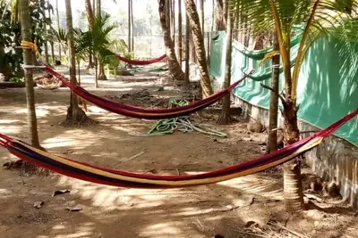 Image de Cool & Pleasent Stay In Natutre @ Dakwe Cottage With Delicious Food, Near Beach