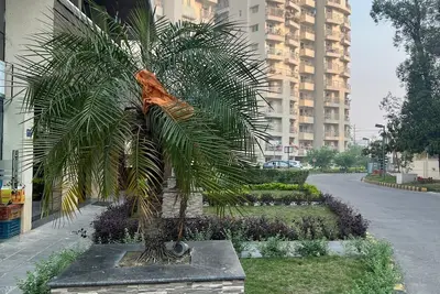 Image de Luxury Penthouse in Cityscape Apartments Lalitpur, Kathmandu
