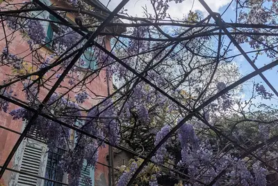 Image de Maison de famille entre mer & collines – Charme, citronniers & tranquillité