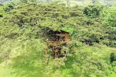 Image de House in the Tree near Bogota Sophia