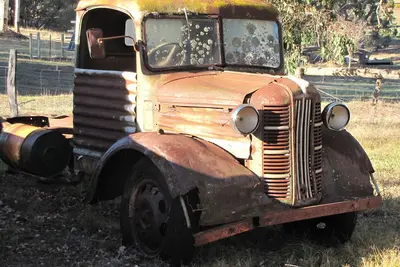 Image de The Tin Shack - Quaint & Quirky