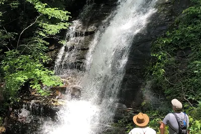 Image de Waterfall Overlook at Bearfoot Falls~Privately owned waterfall, hiking trails
