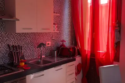 Image de The House of Miki- Bologna Fiere