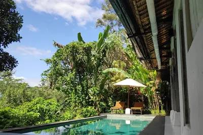 Image de Another peace full place at \nthis unique and tranquil getaway.