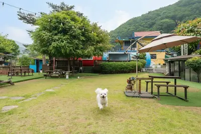 Image de Gapyeong Venezia Dog Pension