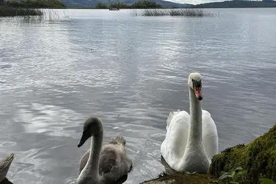 Image de * Usa Delete * Modern Lakeside Escape: Contemporary Comfort & Breathtaking Views