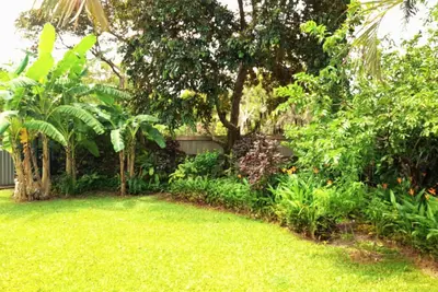 Image de Horn Island 3 Bedroom House with Tropical gardens