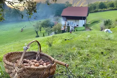 Image de Appartement 'La Ferme Du Mont Charvin' avec vue sur montagne, terrasse privée et balcon