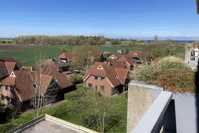 Image de Berolina 408 - Sonnenplätzchen