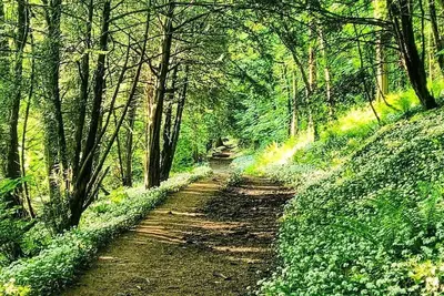 Image de Modern, private, home from home with amazing views and great hiking trails