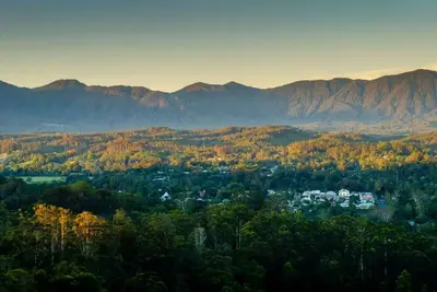 Image de Eco Off Grid Cabin- 2 minutes from Bellingen