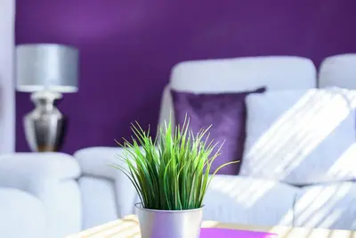 Image de 5 Location\/Sleeps 4\/Private Parking\/WiFi\/Netflix