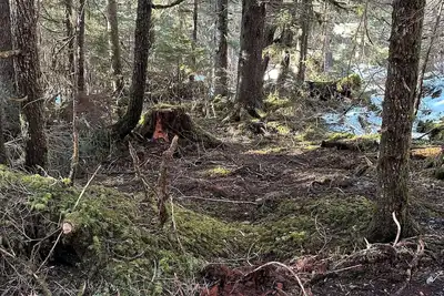 Image de Amazing Campsite in Seward