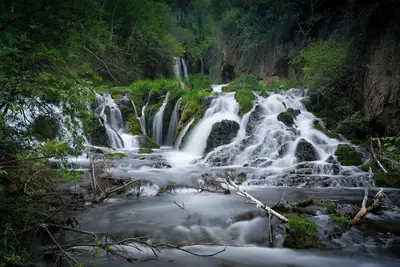 Image de Redefining travel with weekly live music & poolside yoga!