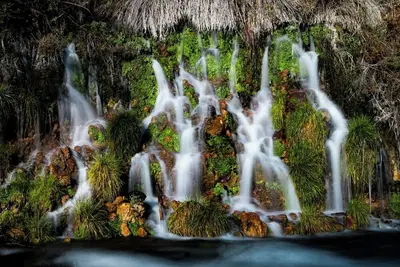 Image de Newly Renovated Pleasanton Marriott