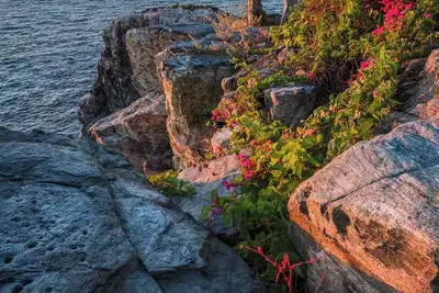 Image de Modern design and a European soul in Pleasanton, Ca