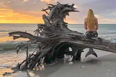 Image de Salty Mermaid on Little Gasparilla Island! Come get salty!