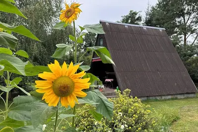 Image de Finnhütten Waldesruh, a cozy house in the Westhavelland - Cabin B.