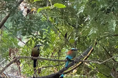 Image de Charming 3-bedroom bed & breakfast with fitness room and WiFi in Atenas