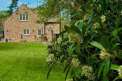 Image de Woodland edge retreat, with wood burning stove.