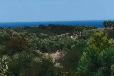 Image de Cozy apartment with a huge plot with sea view, dog friendly.