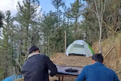 Image de Delicate camp E