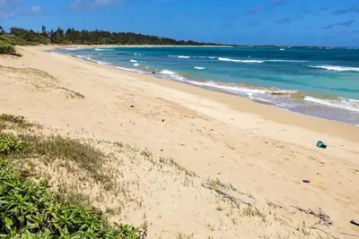 Image de Seaside Sanctuary - Beach is steps from the yard!