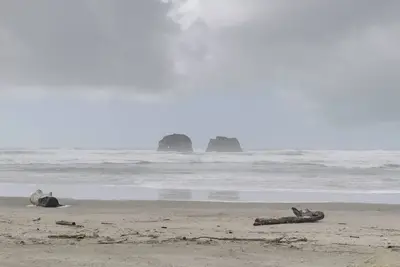 Image de 1 Block to Twin Rocks Beach: Pet-Friendly Cottage