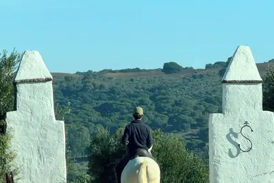 Image de Rural Getaway with Andalusian Charm: Private Annexe at Cortijo Centenario