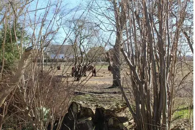 Image de Maison de vacances à Rethwisch