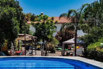 Image de Nid d'aigle blanc