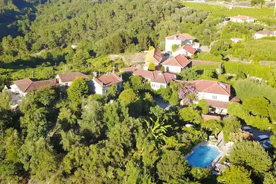 Image de Quinta De Ribas - Les Oliviers - Gite Au Calme ENTOURÉ De Verdure