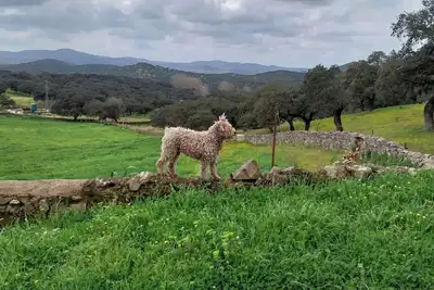 Image de Halfway between Seville and Merida