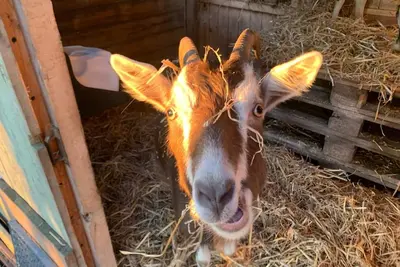 Image de Vacation apartment at Roggenkamp