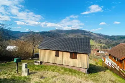 Image de Nuit au cœur de la nature