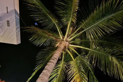 Image de Casa Palmita ~ Ocean View Oasis with private Pool, Serene Jungle House Private